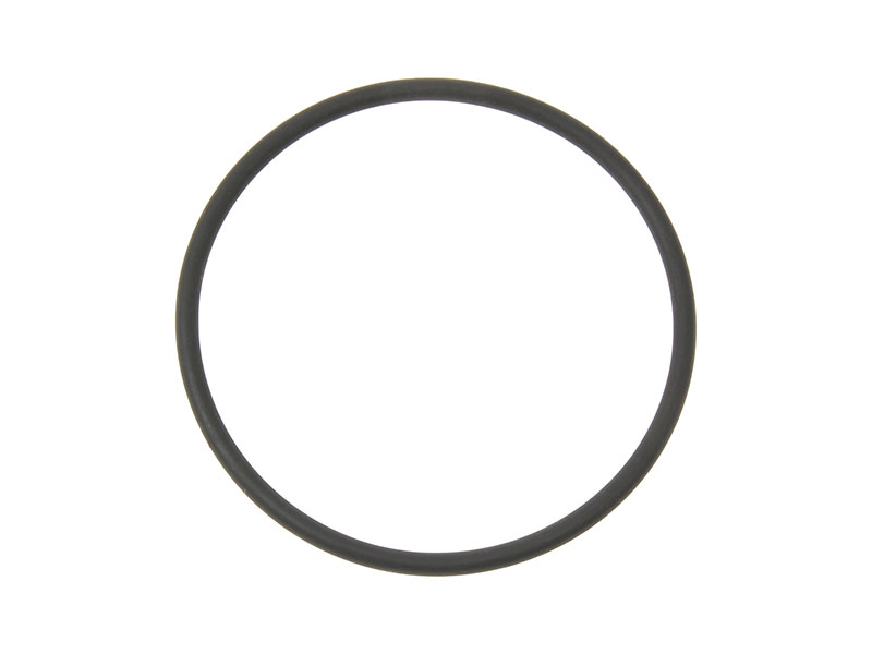 Genuine 0219973645 Vacuum Pump ORing Dodge, Mercedes