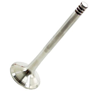 028109611G TRW Exhaust Valve; With 7mm Stem