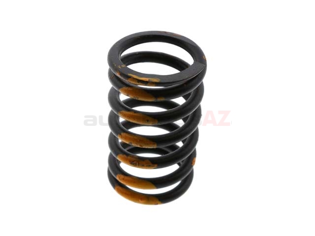 113109623C EMPI Valve Spring; Standard