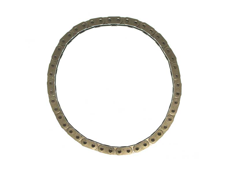 11411716989 Iwisketten (Iwis) Oil Pump Chain
