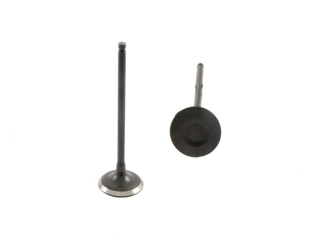 Scion Intake Valve Parts Direct to You