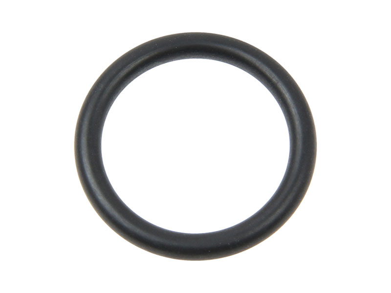 Rein 16063100 Engine Oil Pump Pickup Tube ORing Audi, VW