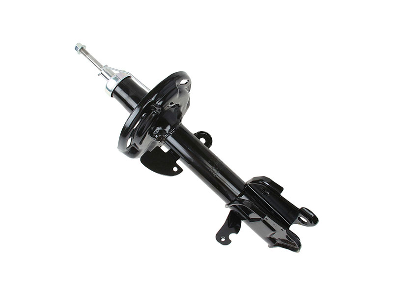 339362.jpg?size=medium