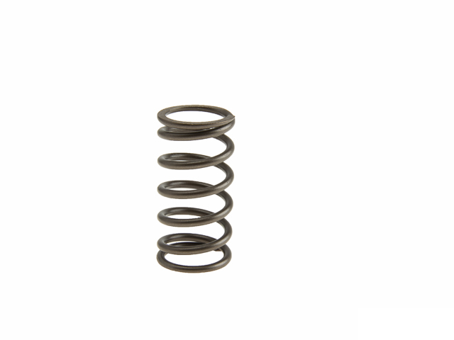 AMC New 652851 Valve Spring - VW