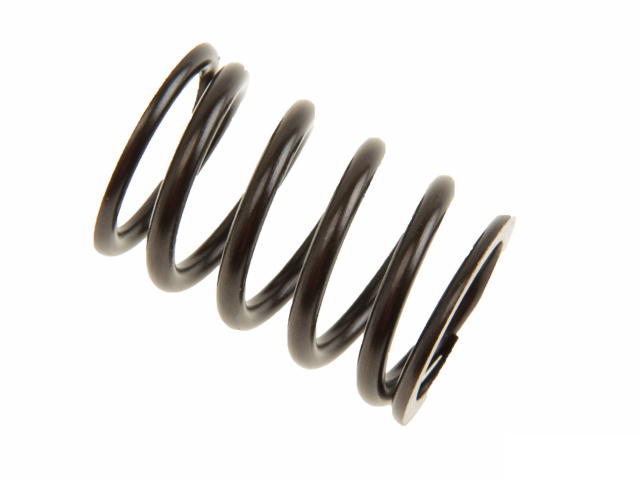 AMC New 652852 Valve Spring - VW | A4652852