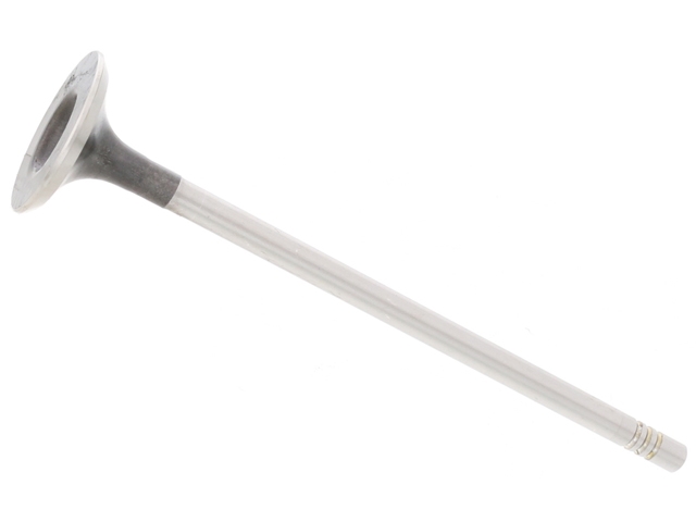 11347533885 AE Exhaust Valve