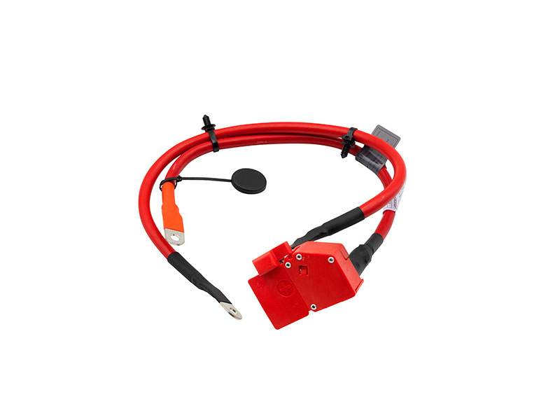 AAZ Preferred Plus 61129253111, 7410910 Battery Cable; Front Positive