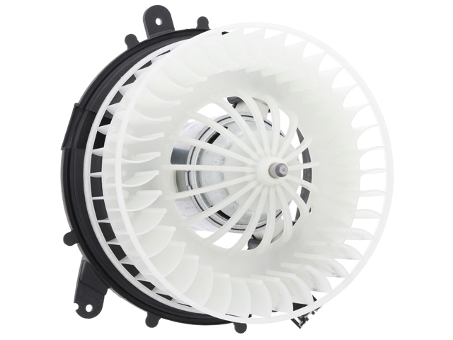 2209060100 ACM Blower Motor