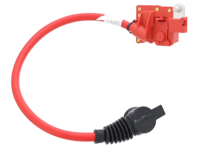 Bapmic 61129217036, BACB12719004 Battery Cable - BMW | 61129217035