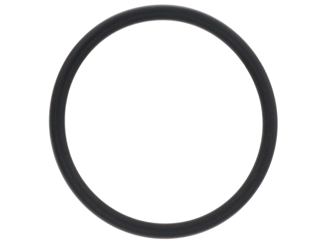 11538658572 Genuine BMW Water Pump Seal