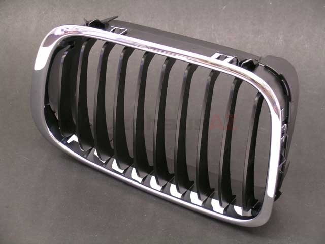 Genuine BMW 51138208487 Grille; Front Left - BMW
