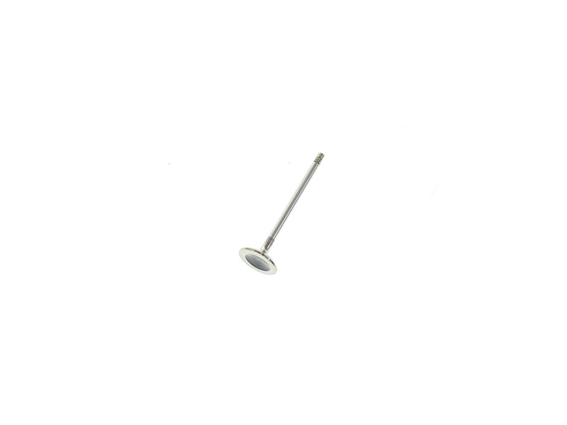 9454607 CRP Industries Intake Valve