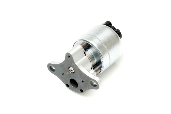 Delphi EG10031 EGR Valve - Chevrolet, GMC, Oldsmobile
