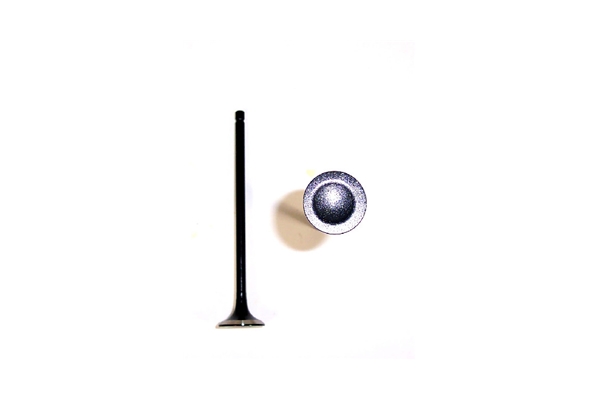 Osvat 14721P2A000 Engine Exhaust Valve