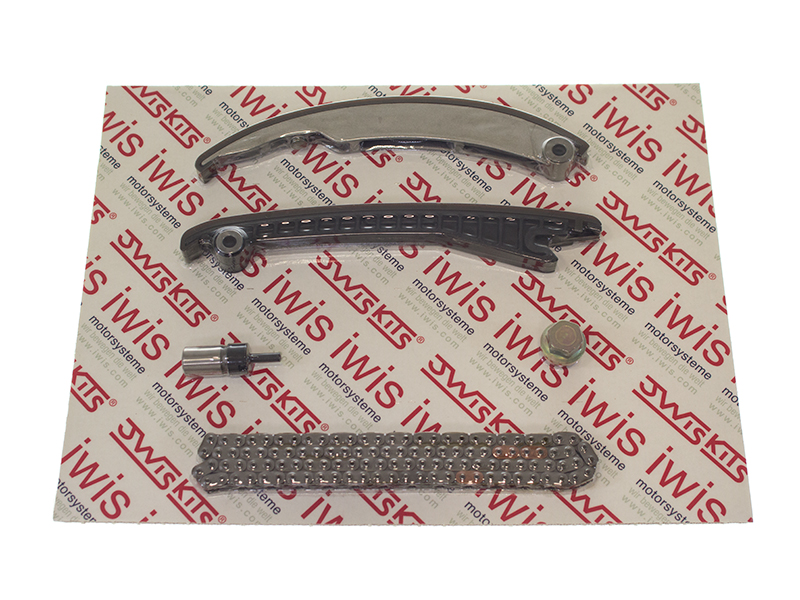 261919100 Iwis Timing Chain Kit