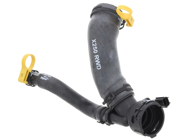Genuine Jaguar C2Z22155 Radiator Coolant Hose; Lower - Jaguar