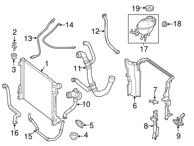 Genuine Mercedes 2315013482 Radiator Coolant Hose; Right - Mercedes