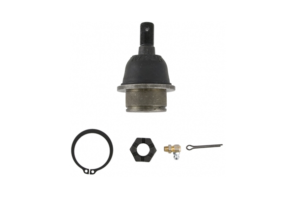 MOOG K80771 Ball Joint; Front Lower - Ford, Mazda, Mercury