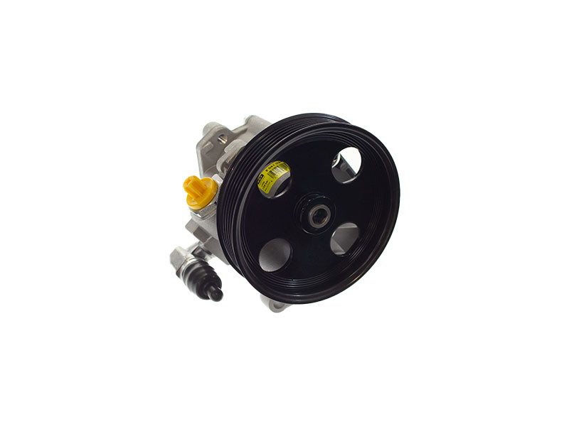 50410242 FZT Power Steering Pump