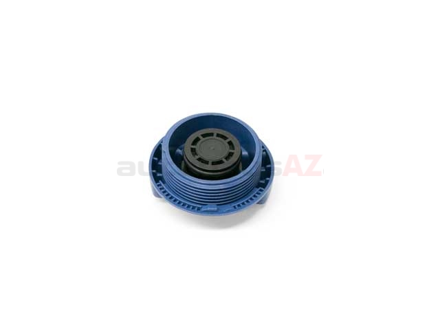 Rein Automotive 3B0121321, CPE0024P Engine Coolant Recovery Tank Cap ...