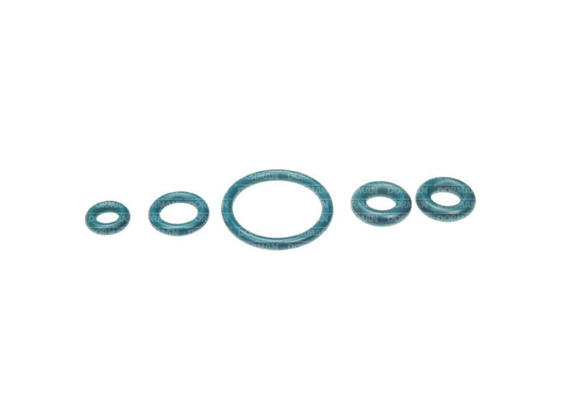 Dorman 904498 Fuel Filter Housing Seal Kit Ford AP0007 F81Z9C065AA