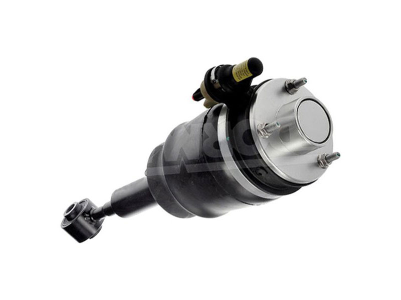 Dorman 949-273 Front Suspension Air Strut Assembly 2003-2006 Lincoln Navigator Suspension Air Strut - Dorman 949-273