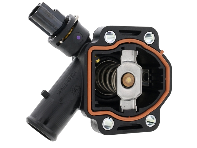 WH-31355151.jpg?size=small